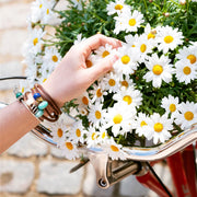 Trollbeads - Amazzonite TSTBE-20002