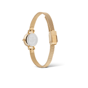 Orologio donna Daniel Wellington PETITE MINI DW00100745