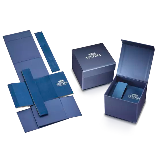 Orologio uomo Festina Classics F16745/5