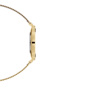 Orologio donna Daniel Wellington Petite Evergold 32mm DW00100348