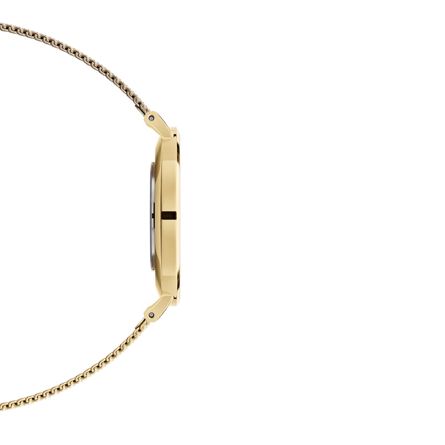 Orologio donna Daniel Wellington Petite Evergold 32mm DW00100348