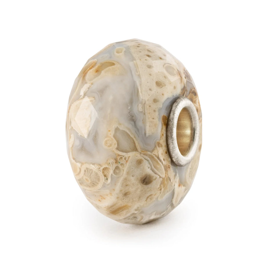 Trollbeads - Legno Fossile TSTBE-20042