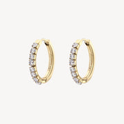 Orecchini donna Brosway in acciaio DESIDERI BEIE013