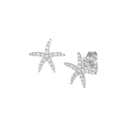 Orecchini donna Amen in argento 925 Stella Marina ESFBBZ