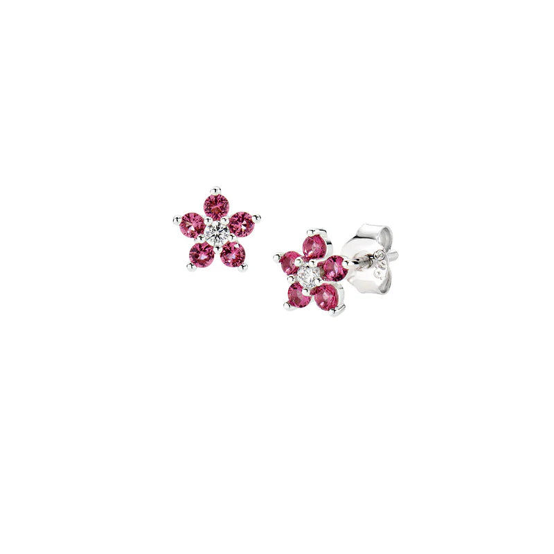 Orecchini donna Amen in Argento 925 ESTEBCIB