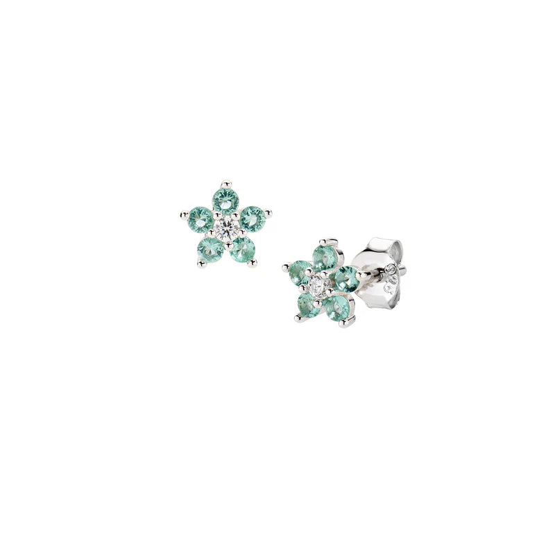 Orecchini donna Amen in Argento 925 ESTEBVAB