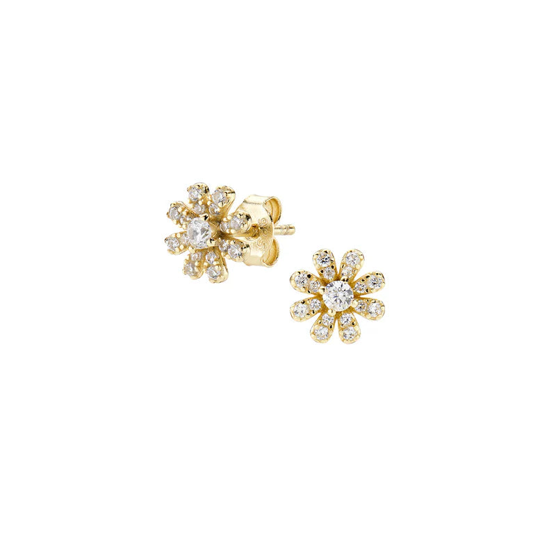 Orecchini donna Amen in Argento 925 ORFIPGBZ3