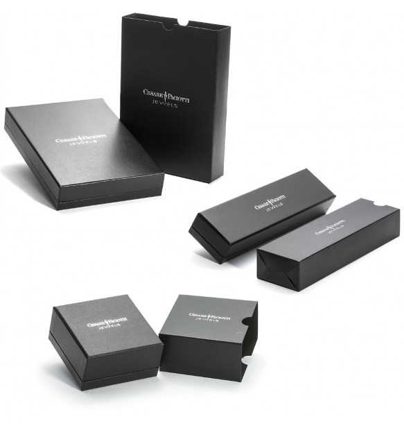 Collana uomo Cesare Paciotti argento 925 JPCL2172B