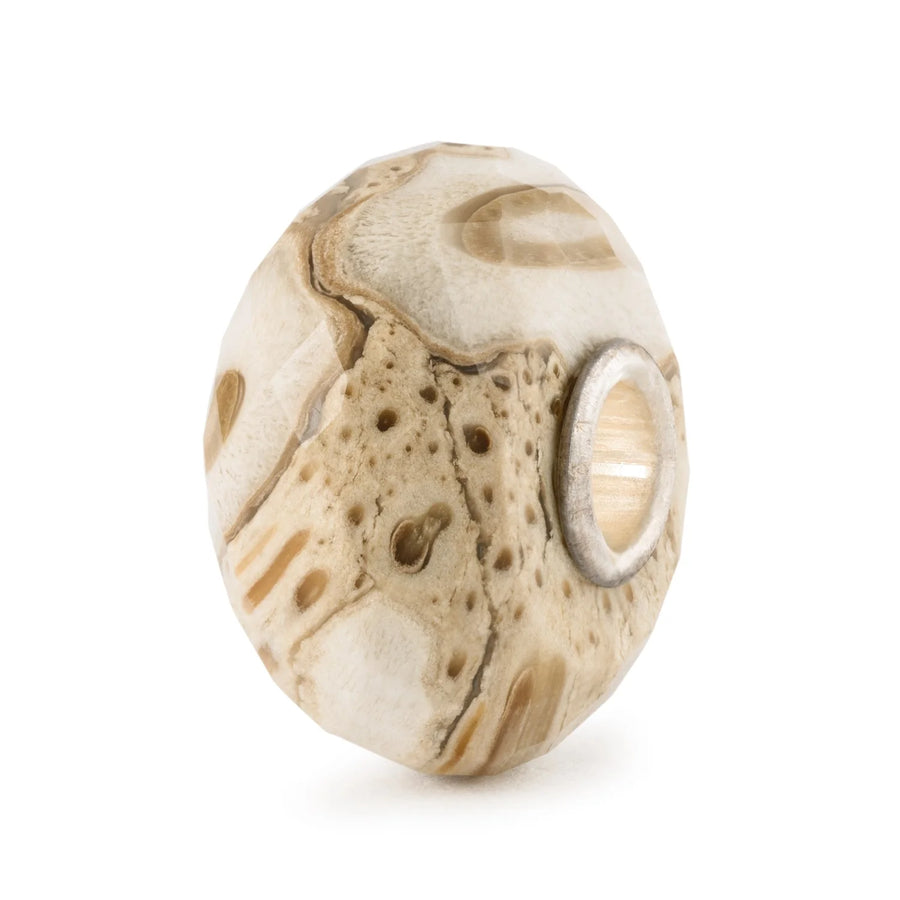 Trollbeads - Legno Fossile TSTBE-20042