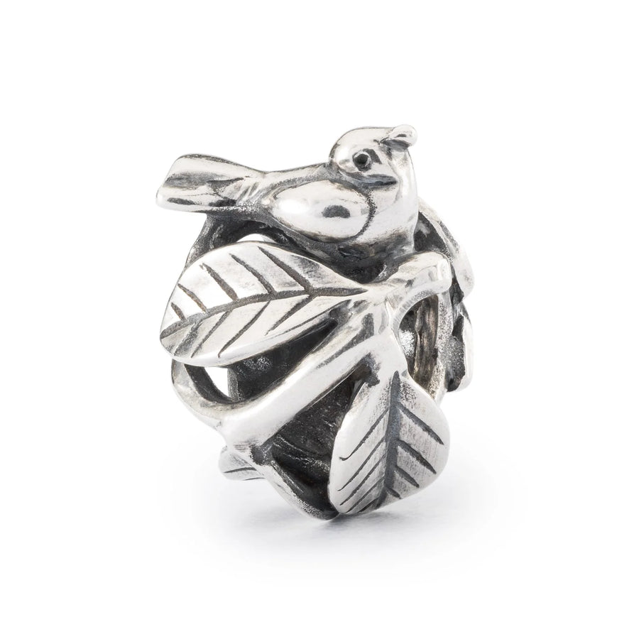 Trollbeads - Nido TAGBE-40130