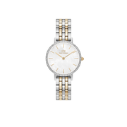 Orologio donna Daniel Wellington PETITE LUMINE BEZEL 5-LINK TWO-TONE MOP DW00100665