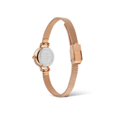 Orologio donna Daniel Wellington PETITE MINI DW00100744