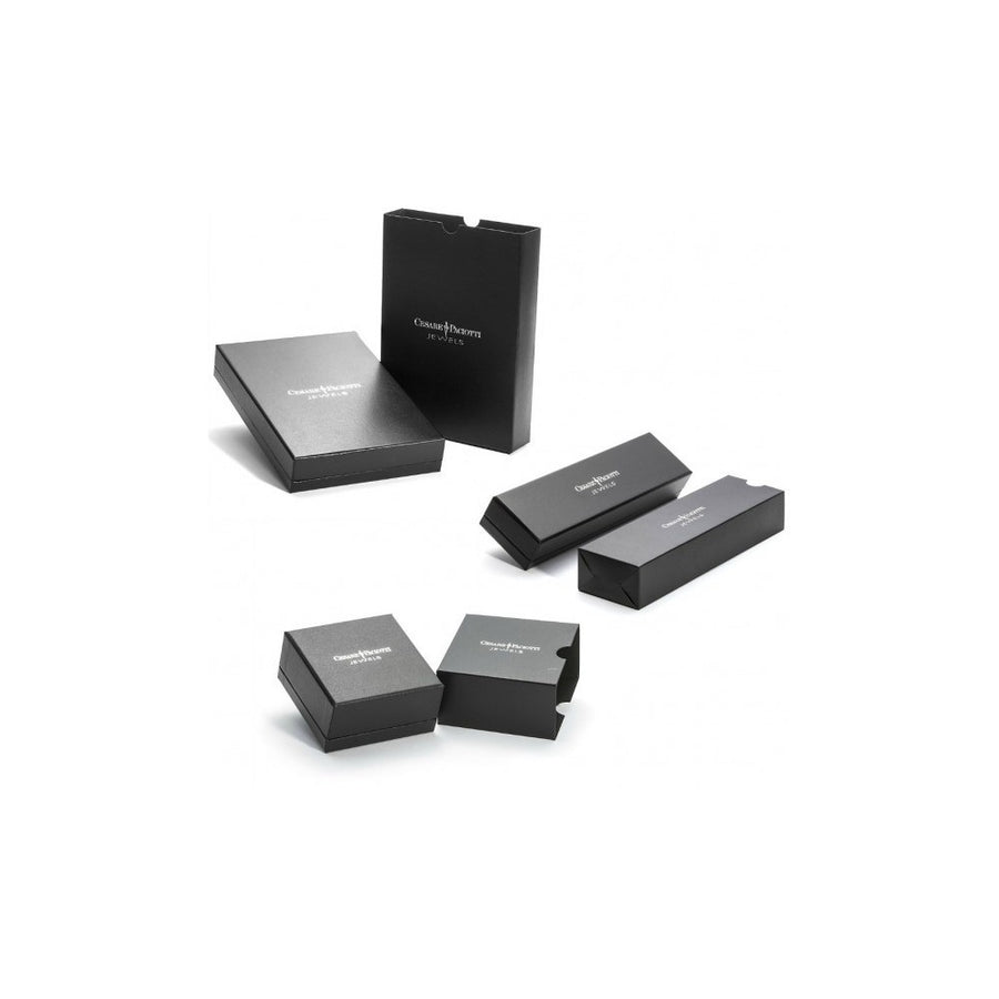 Bracciale uomo Cesare Paciotti in argento 925 JPBR5074B