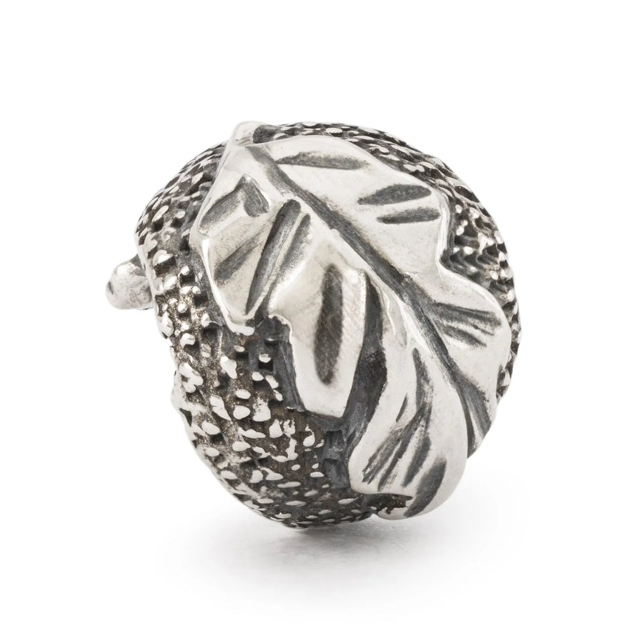 Trollbeads - Riccio della Protezione TAGBE-30201