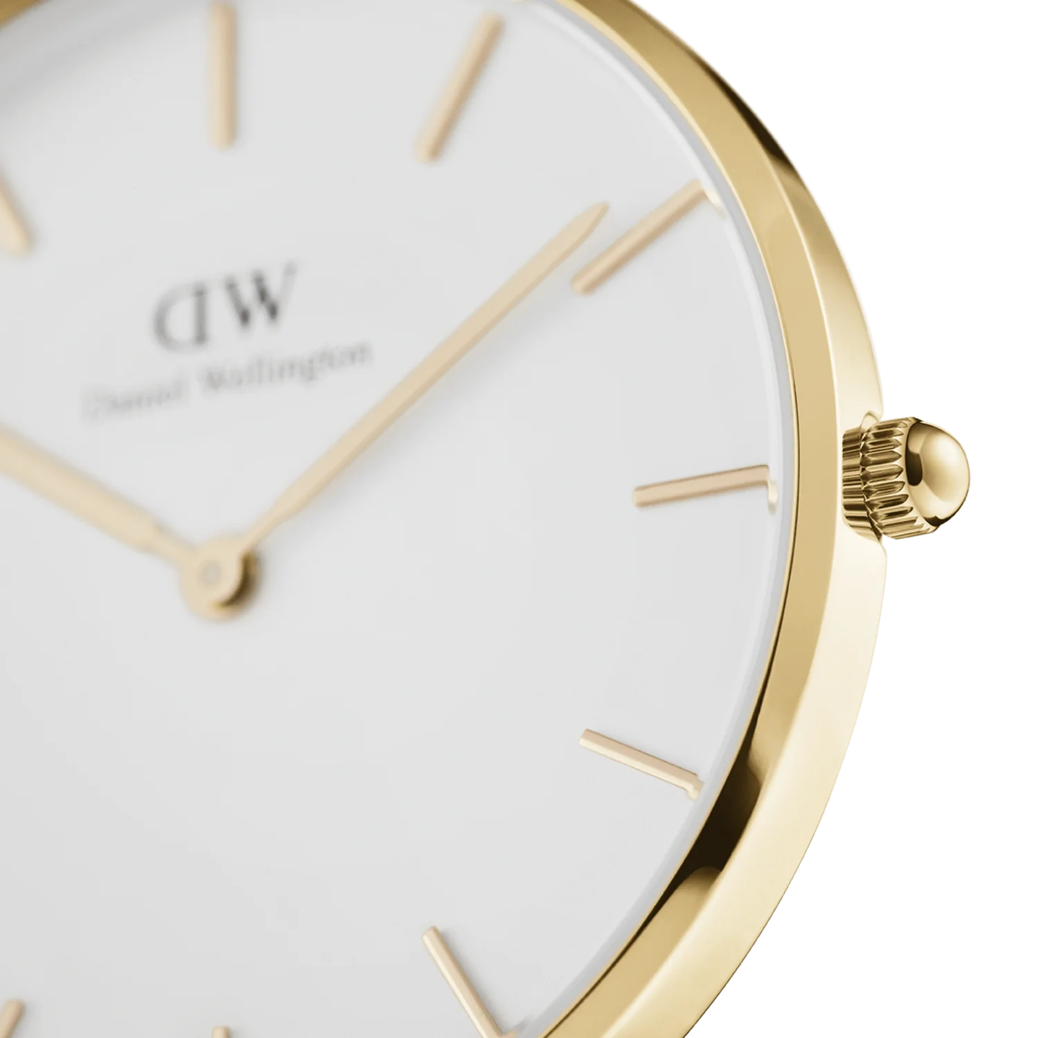 Orologio donna Daniel Wellington Petite Evergold 32mm DW00100348